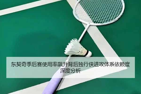 东契奇季后赛使用率飙升背后独行侠进攻体系依赖度深度分析