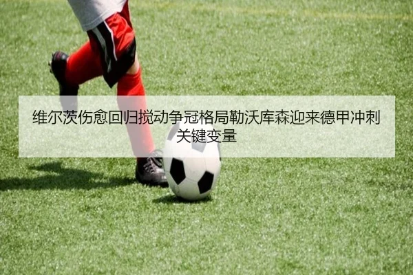 维尔茨伤愈回归搅动争冠格局勒沃库森迎来德甲冲刺关键变量